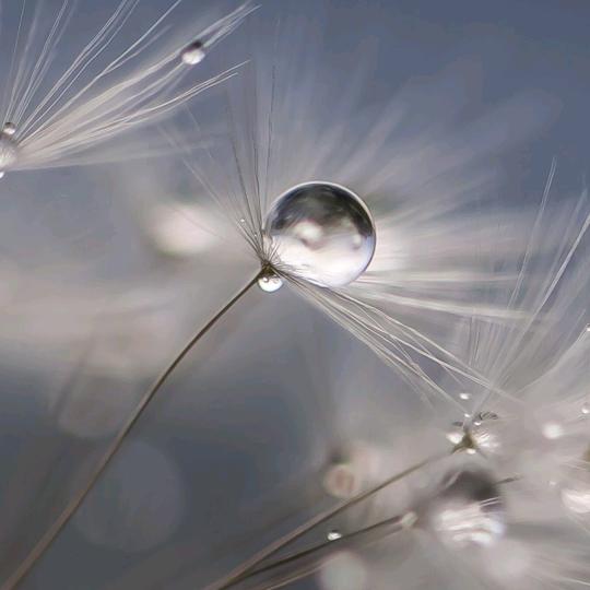 装修你懂吗韩设计