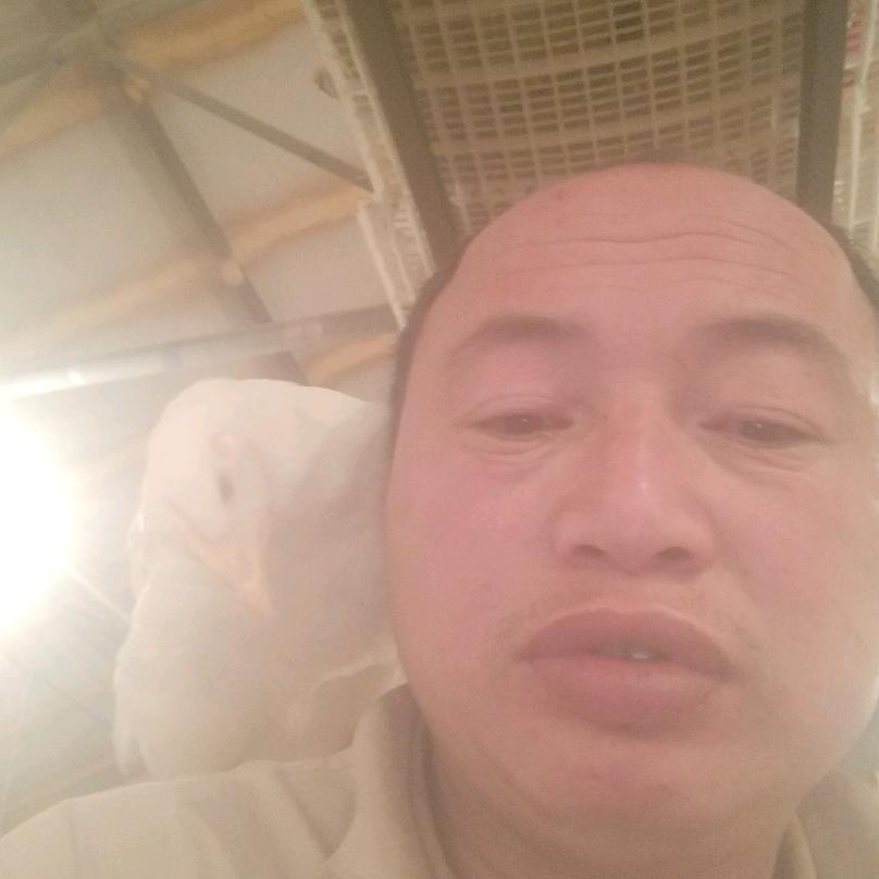 美好明天美好明天