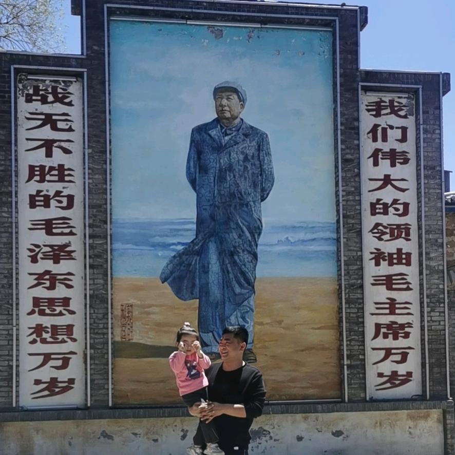 高山树林光明