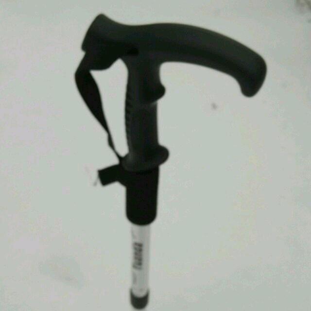 苦丁茶
