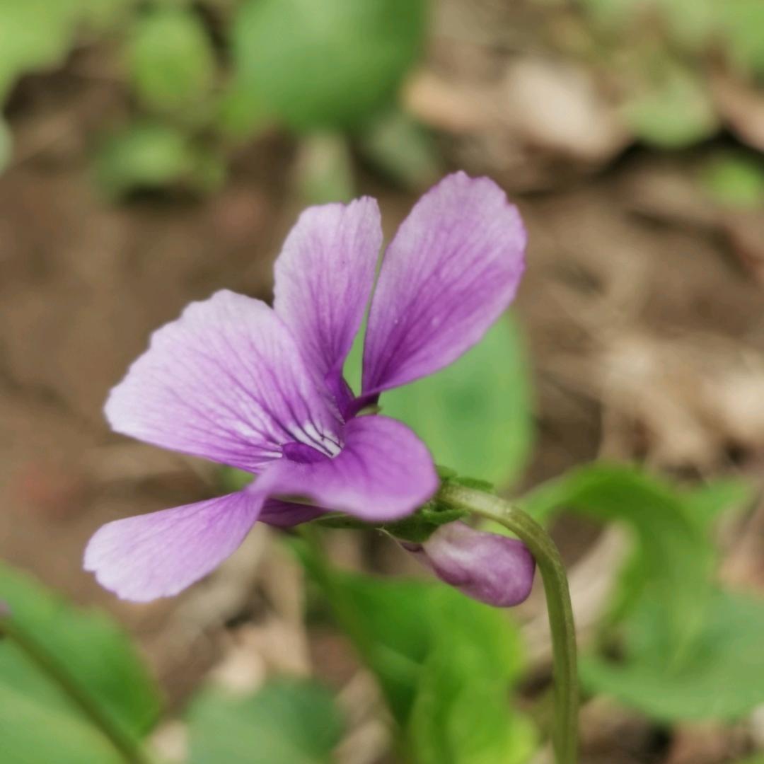 菁范儿
