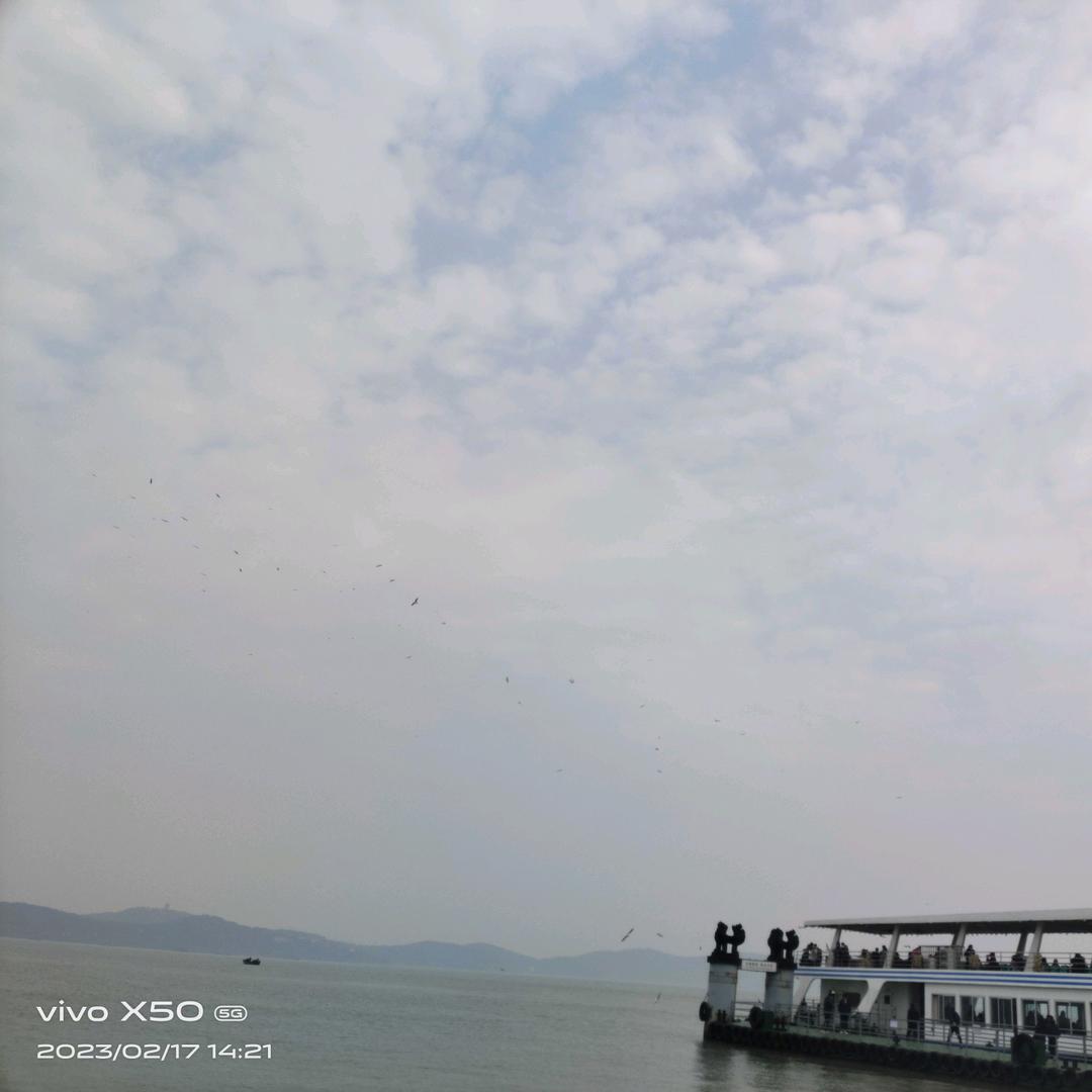 时光煮酒醉浮生