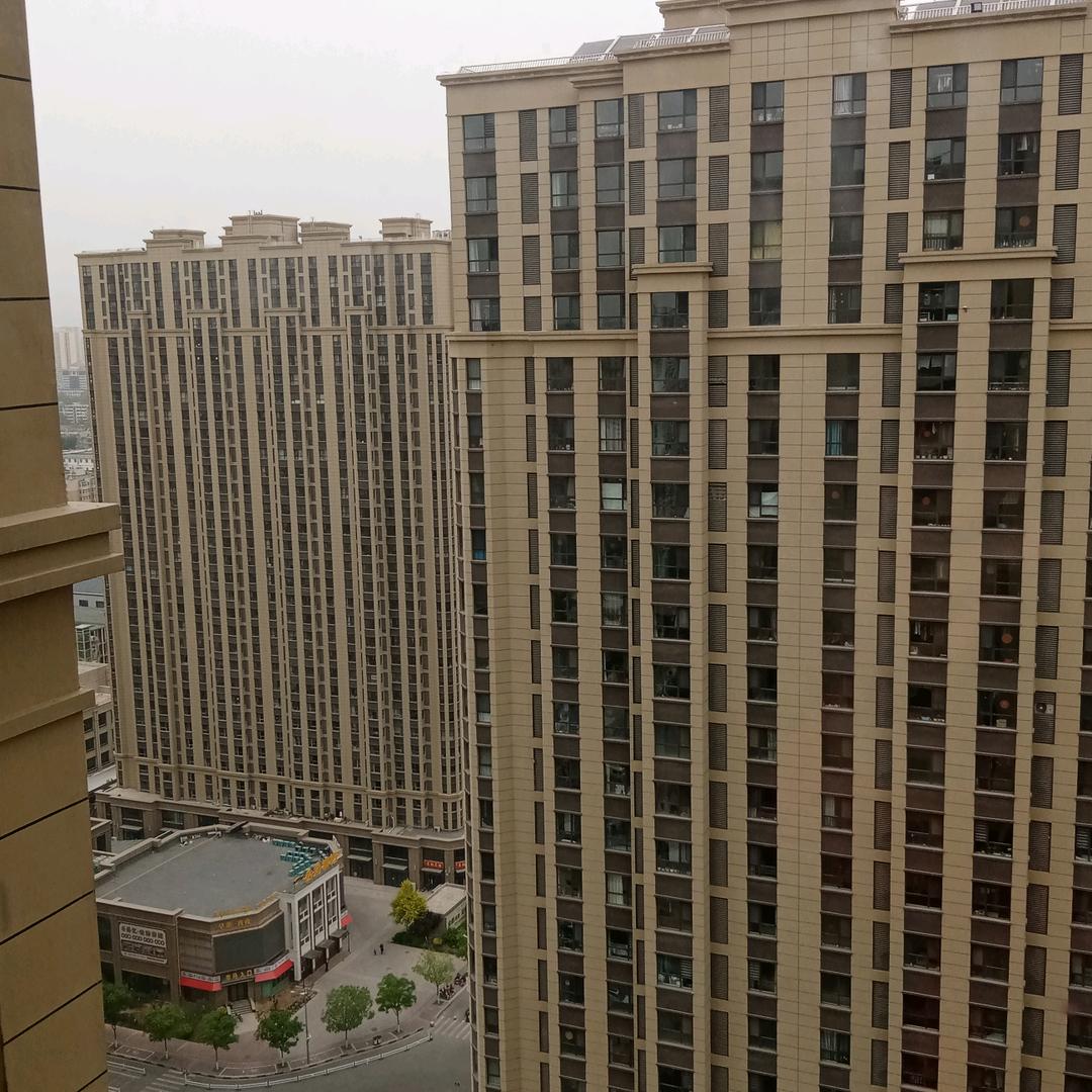 任可欣