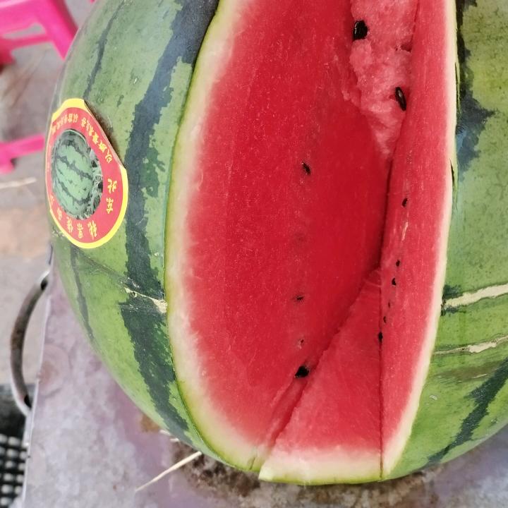 诚信代卖老韩