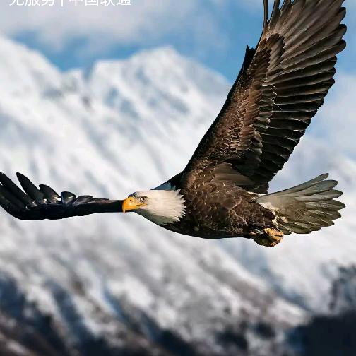 🦂温酒🇨🇳醉人