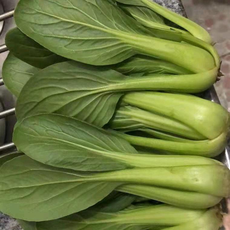 👌嘟嘟