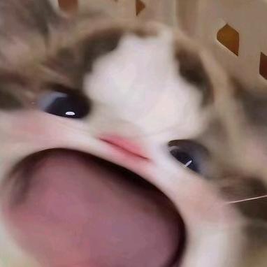 在逃二三