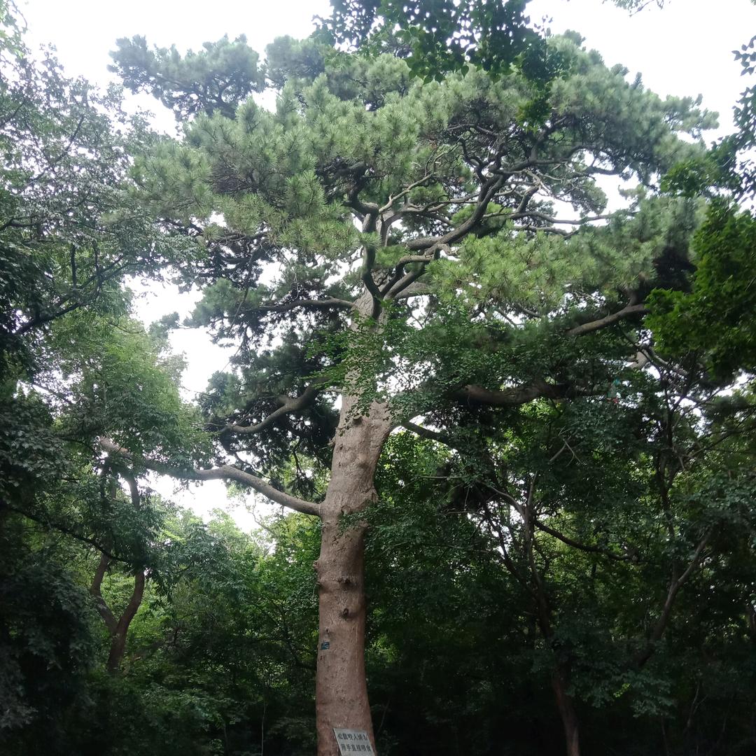 金涛海岸