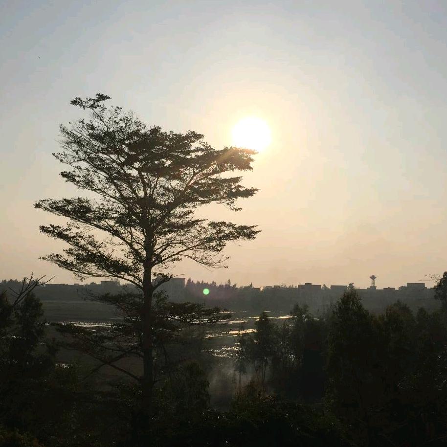 方圆有度