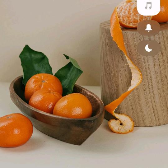 永远幸福👩‍👩‍👦🌲🌲1337