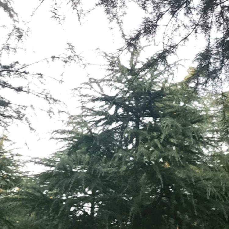 过眼云烟