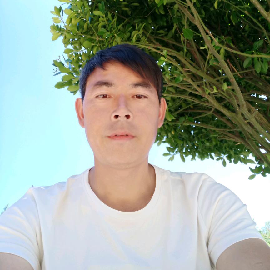 罗哥