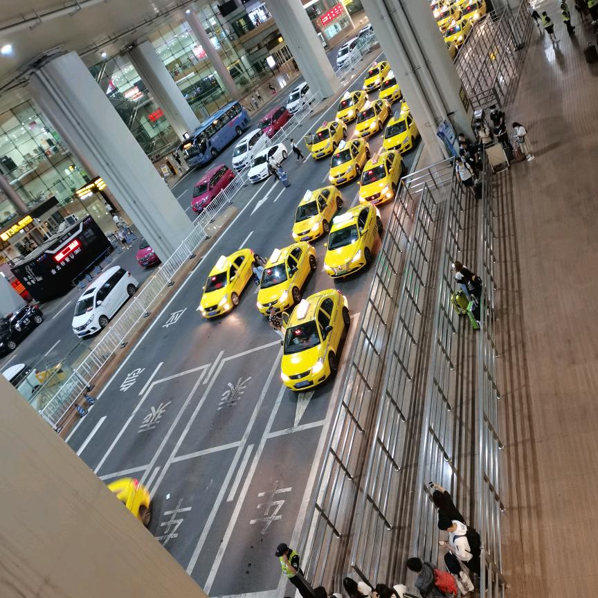 龙哥