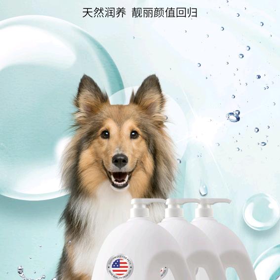 好嗨哟