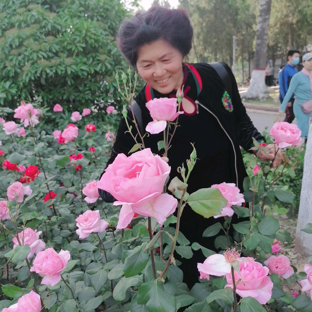 用户913422009523＜快乐＞