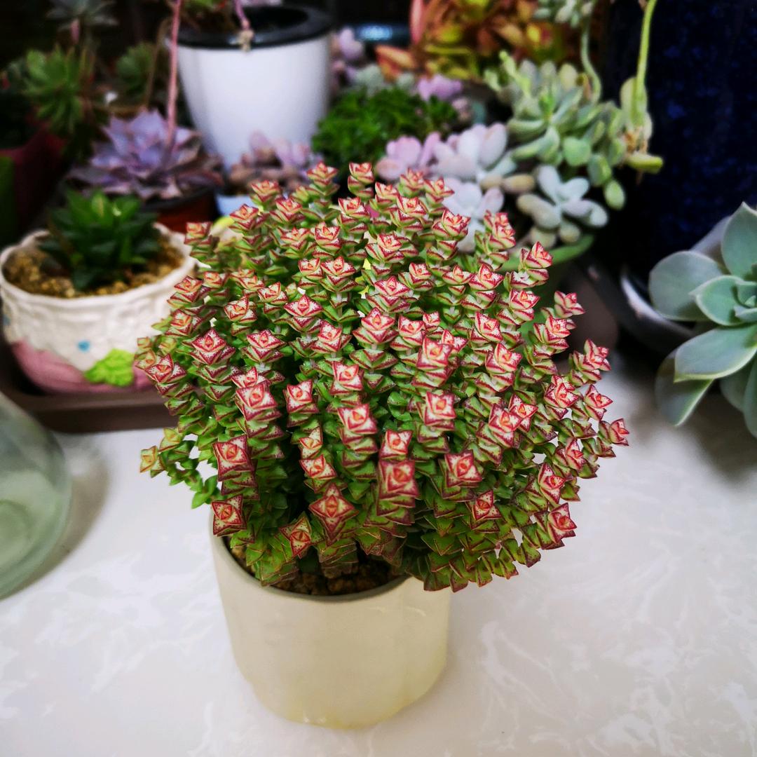 ✌(̿▀̿ ̿Ĺ̯̿̿▀̿ ̿)✌伟