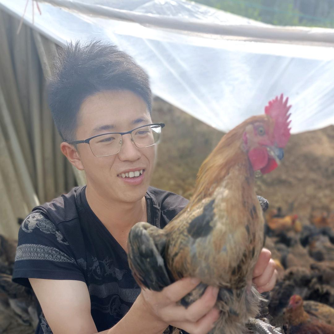 新农连桥