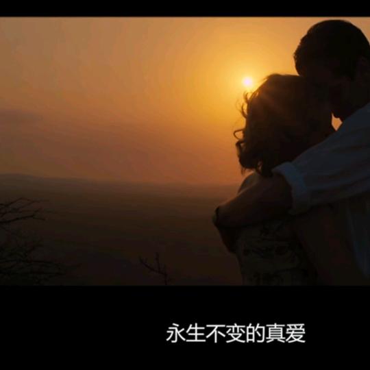 00小狐狸