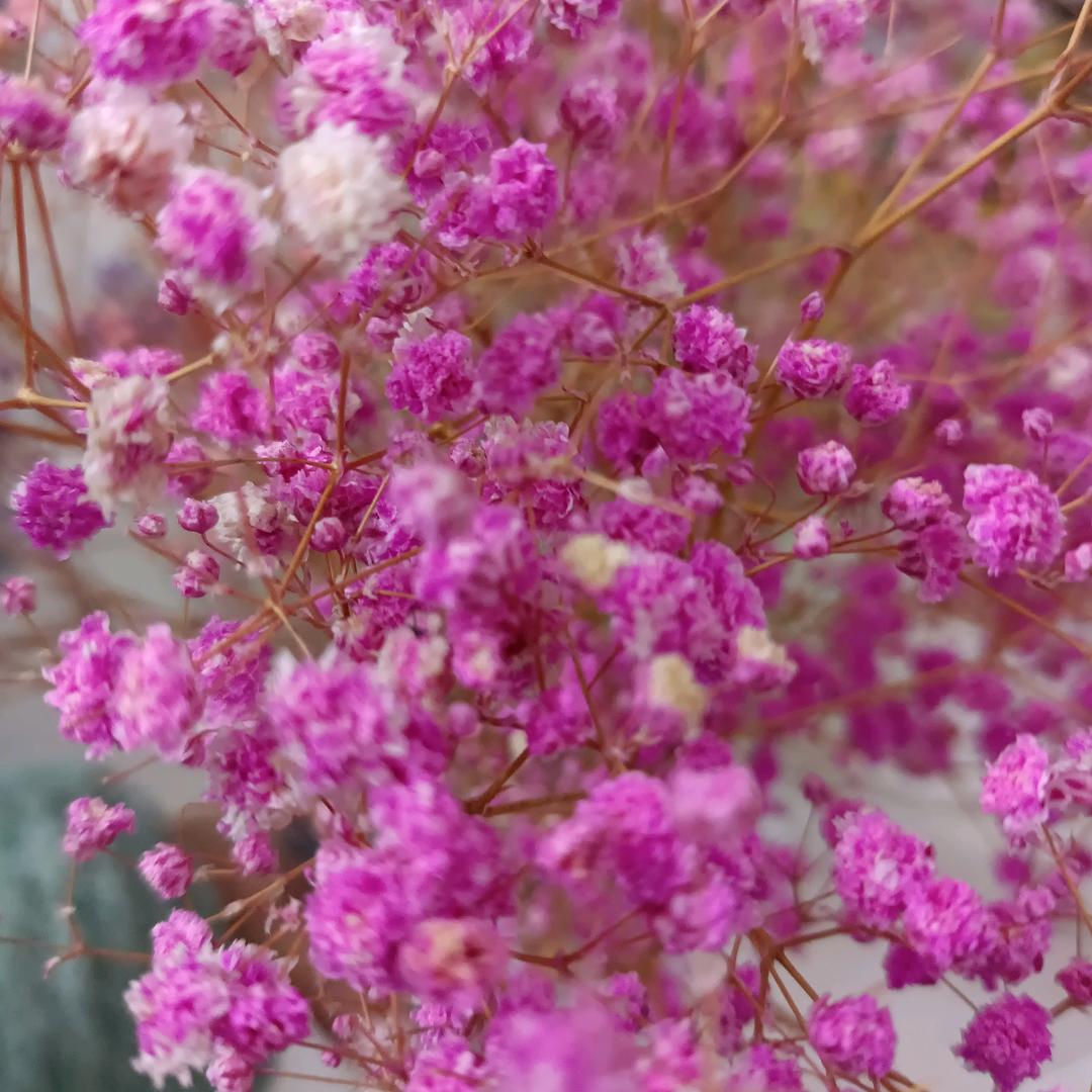 春暖花开