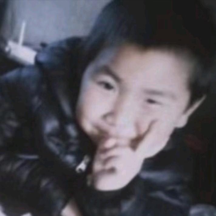 森林里的一只狼.