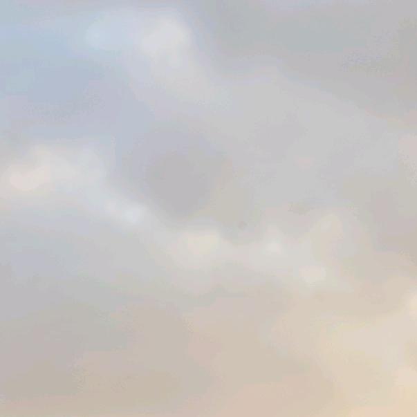 LSY英