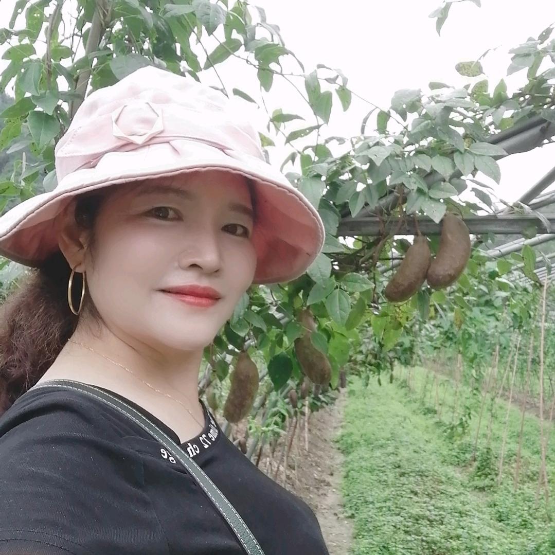唐糖直播。每晚八点半。