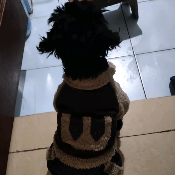 @@豆小妮🐶