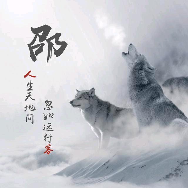 肥仔