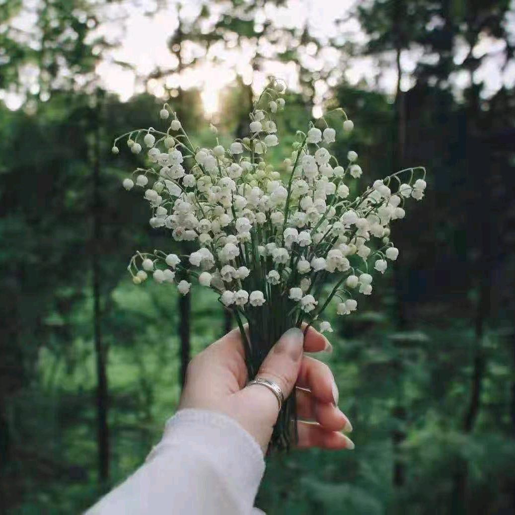 @妮～熟悉的陌生人