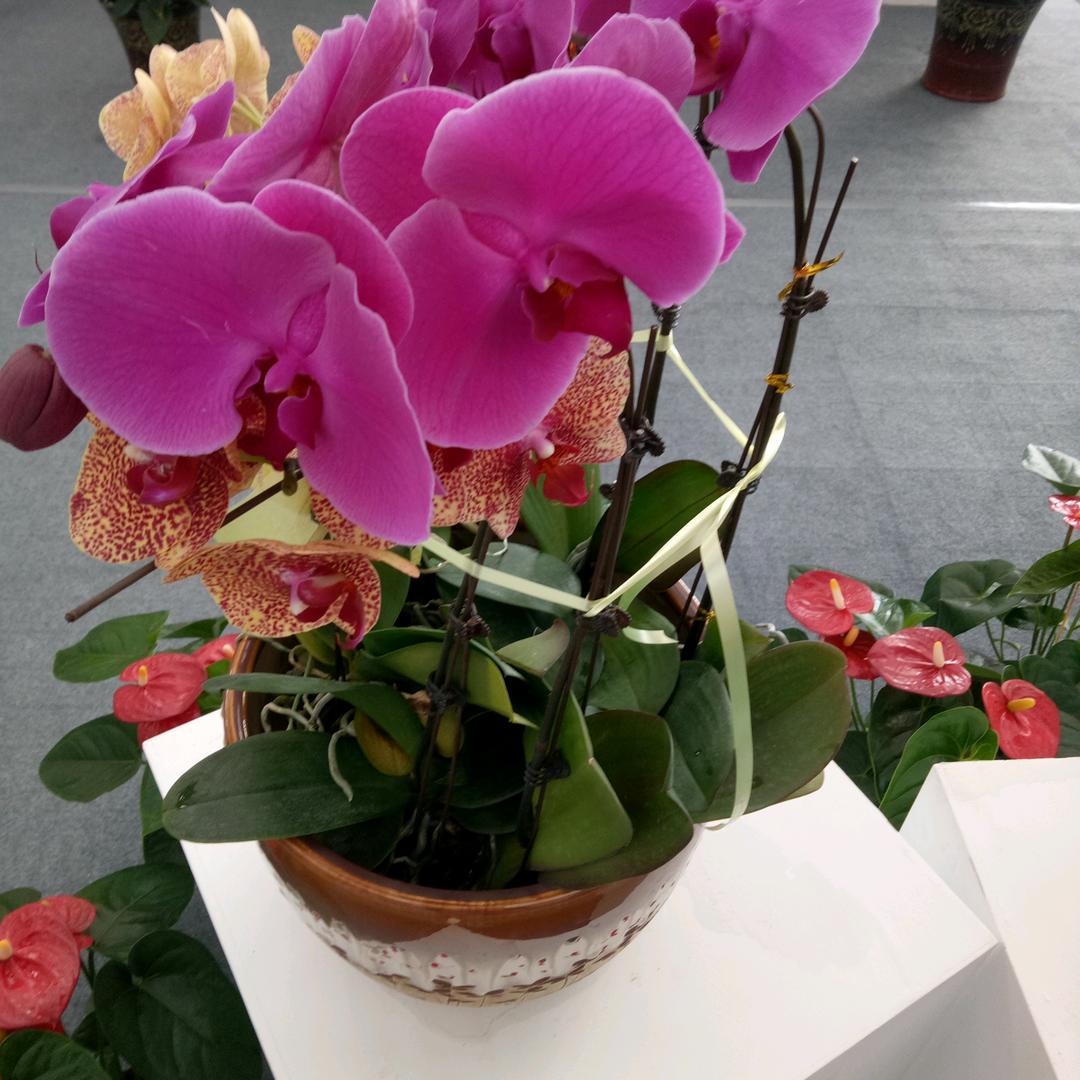 星光不问赶路人