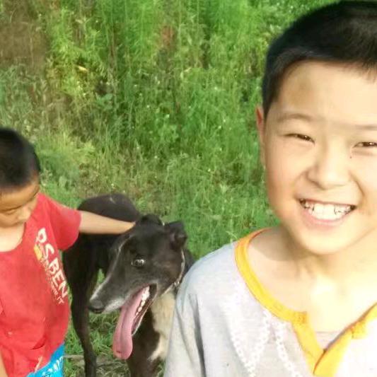 少些贪欲 多些自由