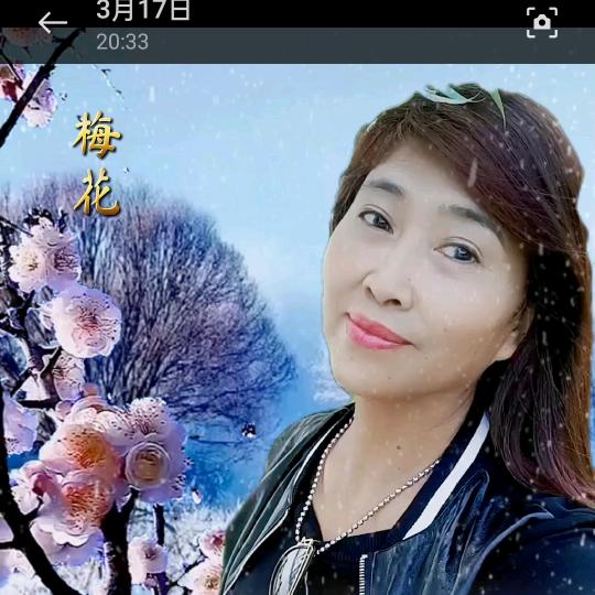 美芝芝