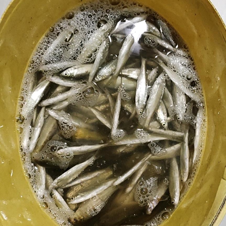 别问我是谁……