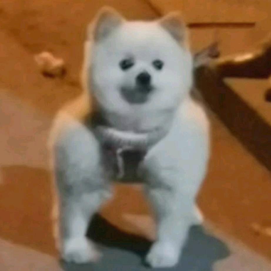 小狗郵遞員
