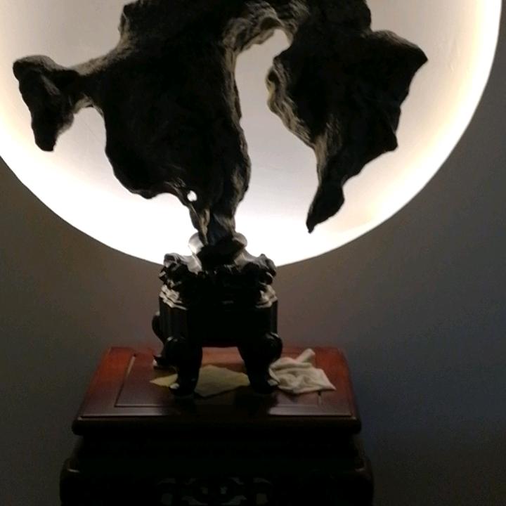 猪蹄放兜里