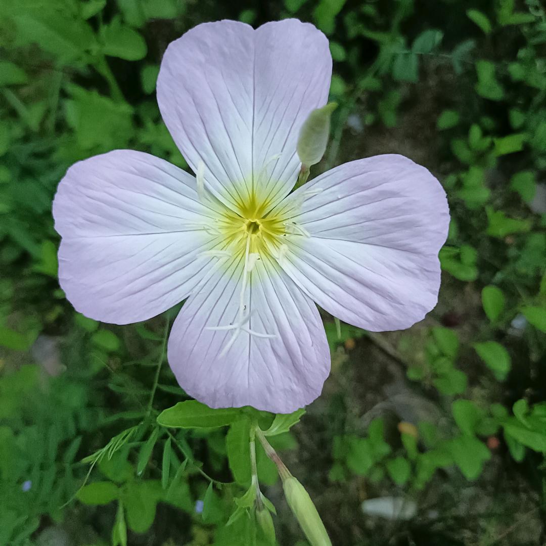 时间沙漏，晓飞