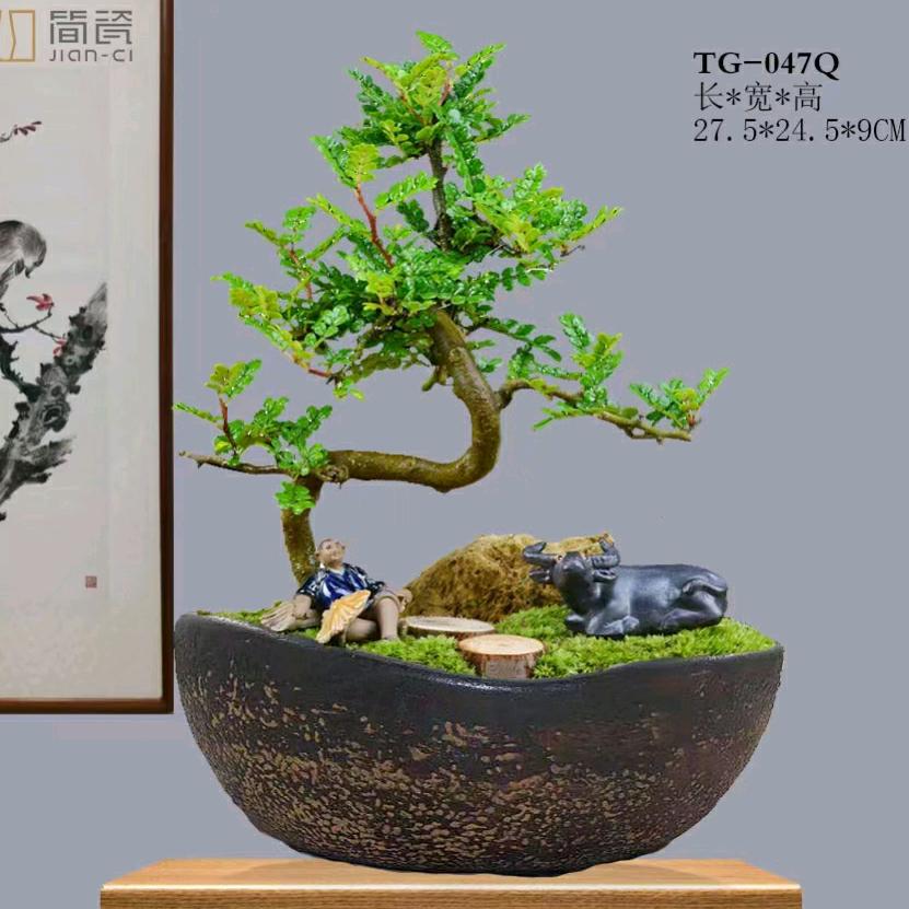 花卉绿植