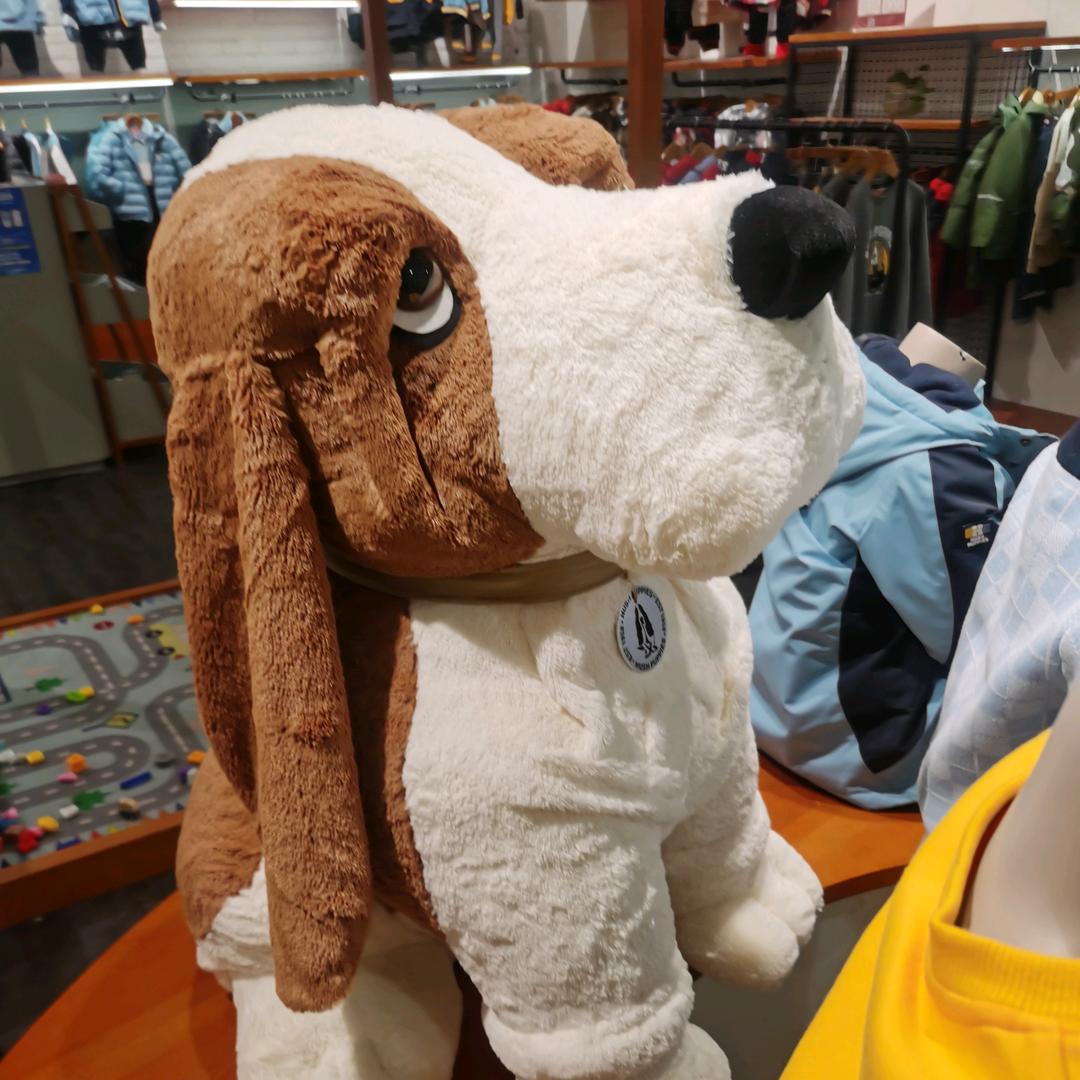 波板