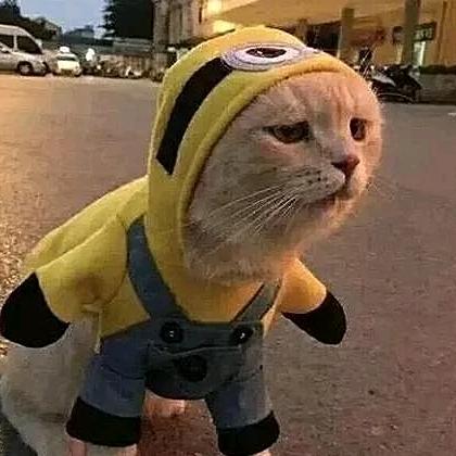 Sorever.(见过许嵩版)