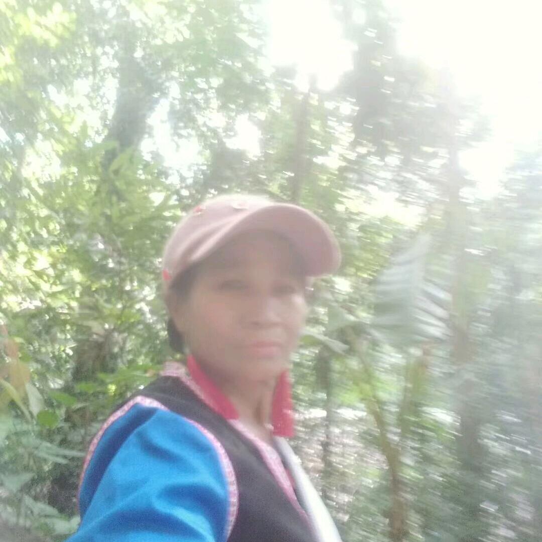 余额不足(ง •̀_•́)ง我喜欢花花草