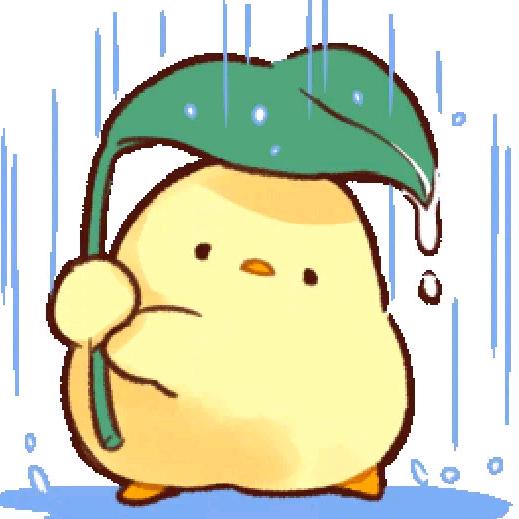 木叽叽