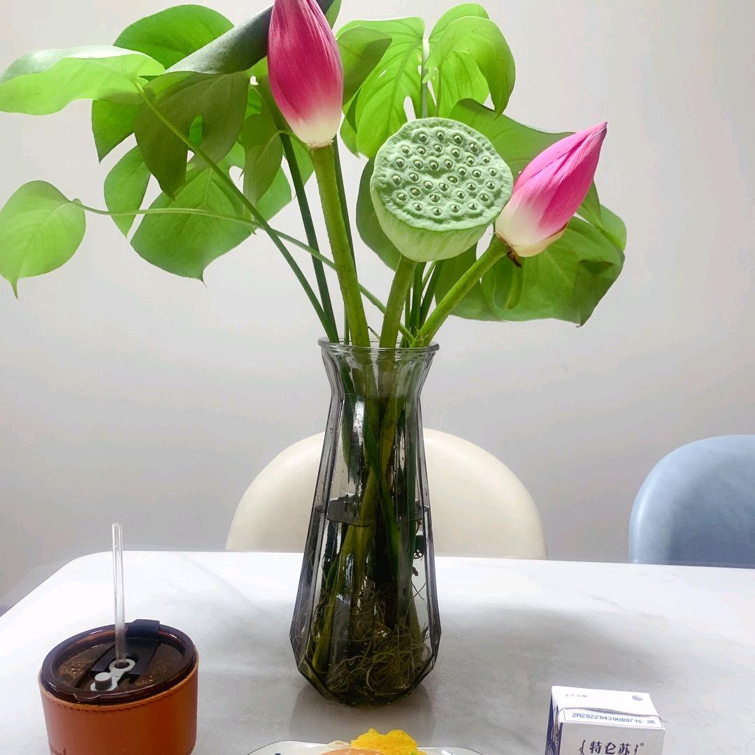 窗外一只花🌸