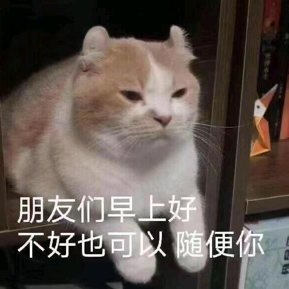 羊羊今天杠赢了吗