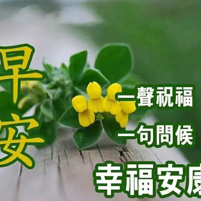 王哥:每周三、周六19：38开播