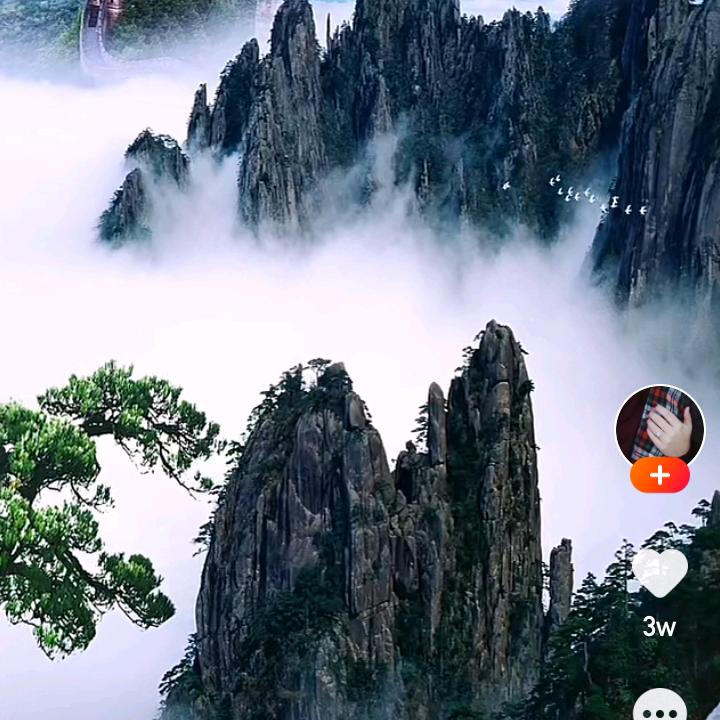 大唐李