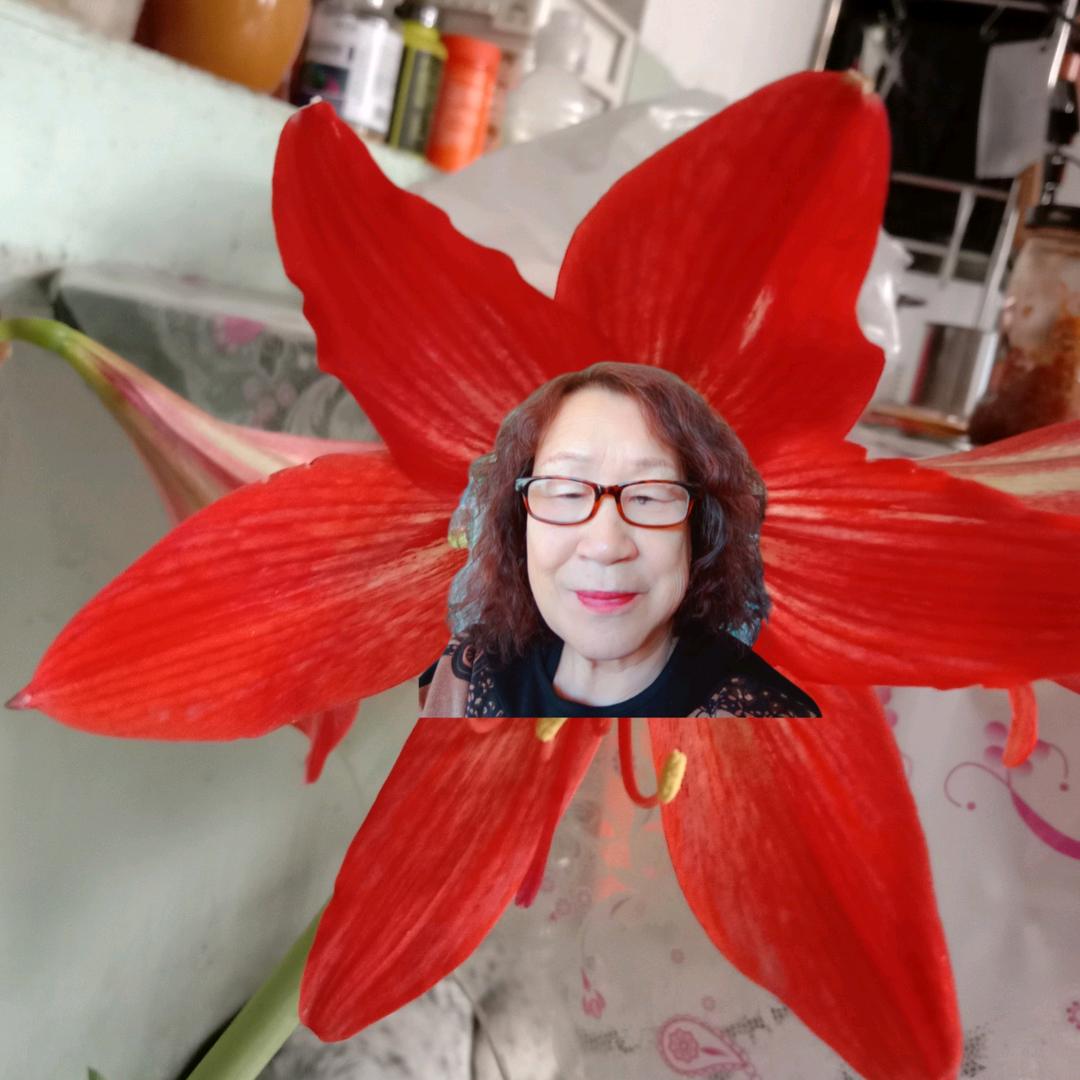 💝心想事成💞