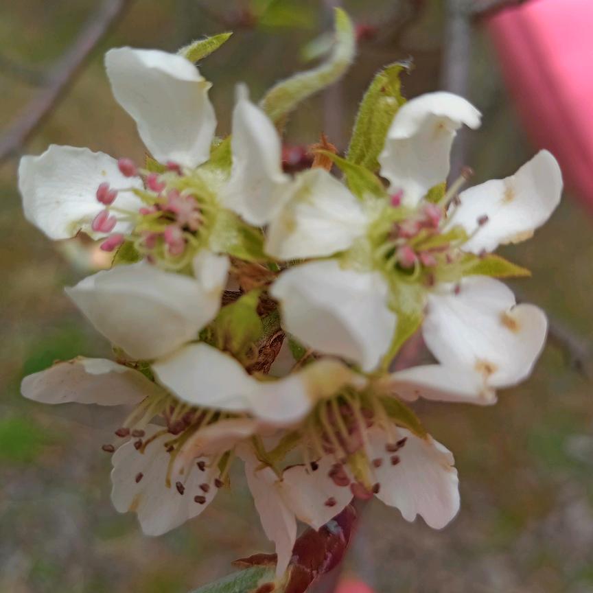 爱的独家记忆💕