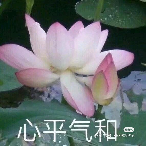 一家之主
