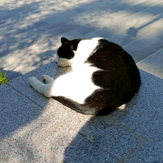 招财进宝