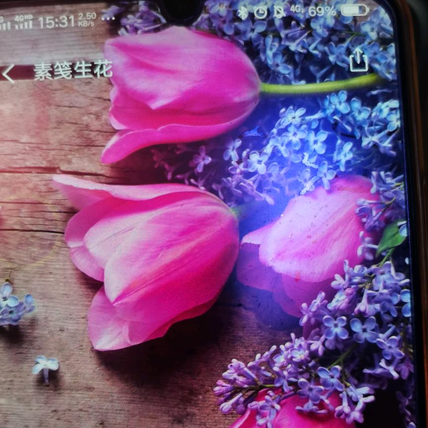 @@芬芬！抛开一切烦恼，新的一天幵始！